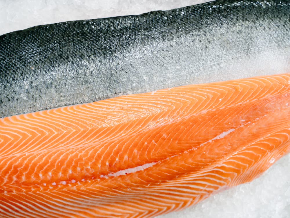 Fresh salmon fillet on ice